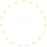 palm-01